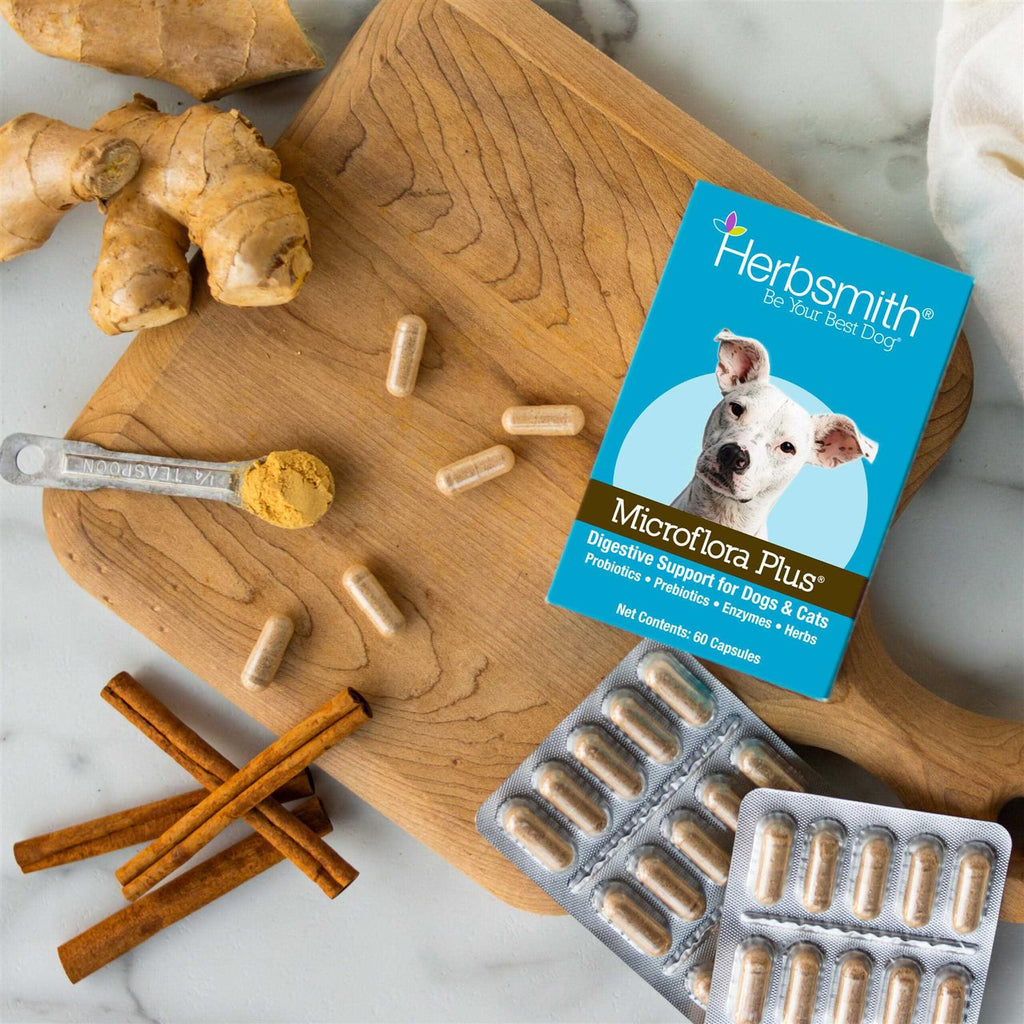 Microflora Plus for Digestion Pet Supplies V18197