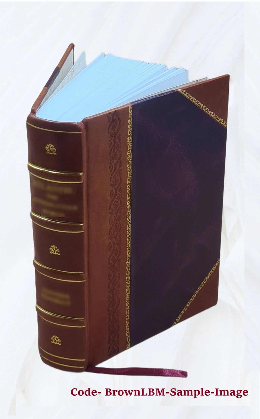 Biographical Dictionary of Contemporary Writers 1879 Leather Bound T6701