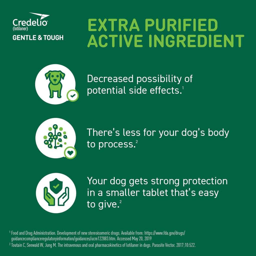 Chewable Tablet for Dogs D773464