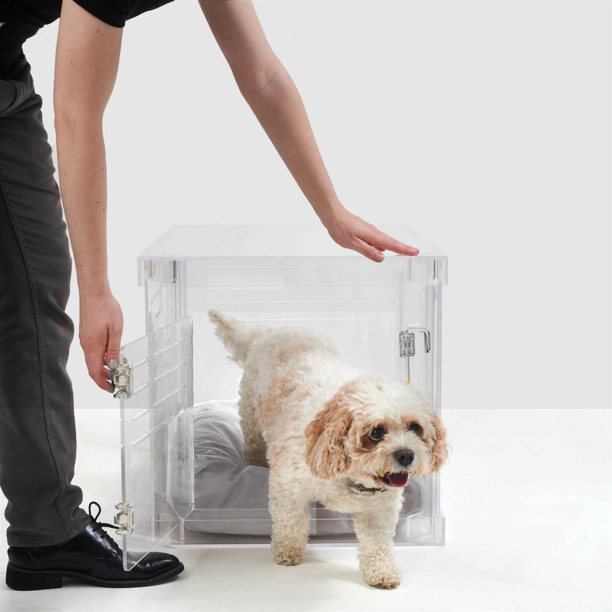Clear Dog Crate to Gate J11009