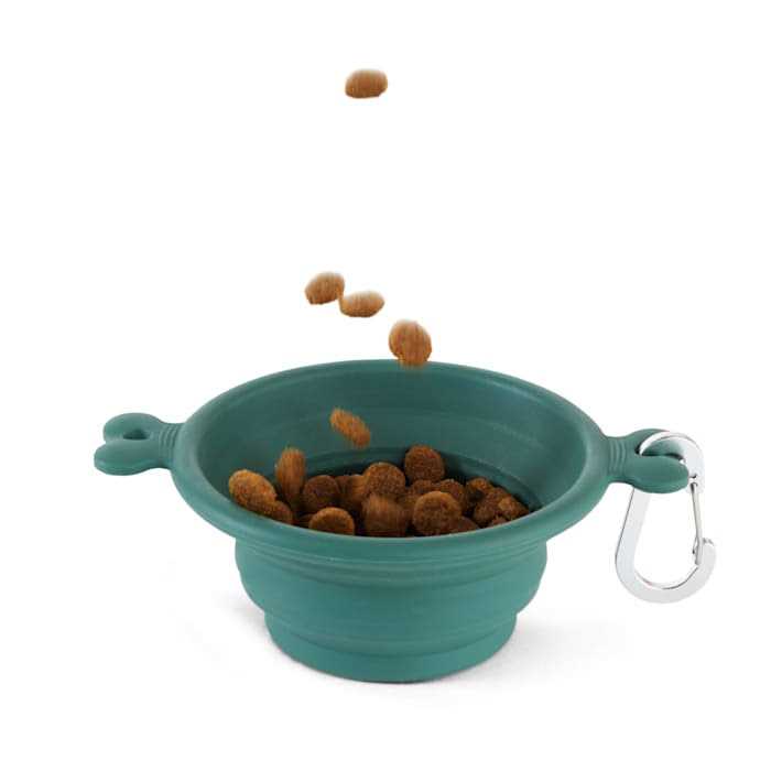 Collapsible Bowl for Dogs X826