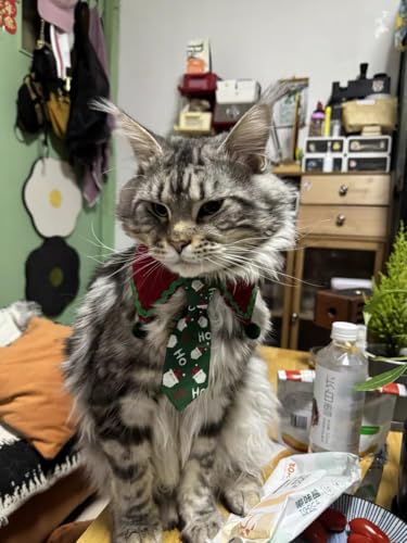 Adjustable 14-17 Inch Pet Scarf Bandana Bow Tie R75434