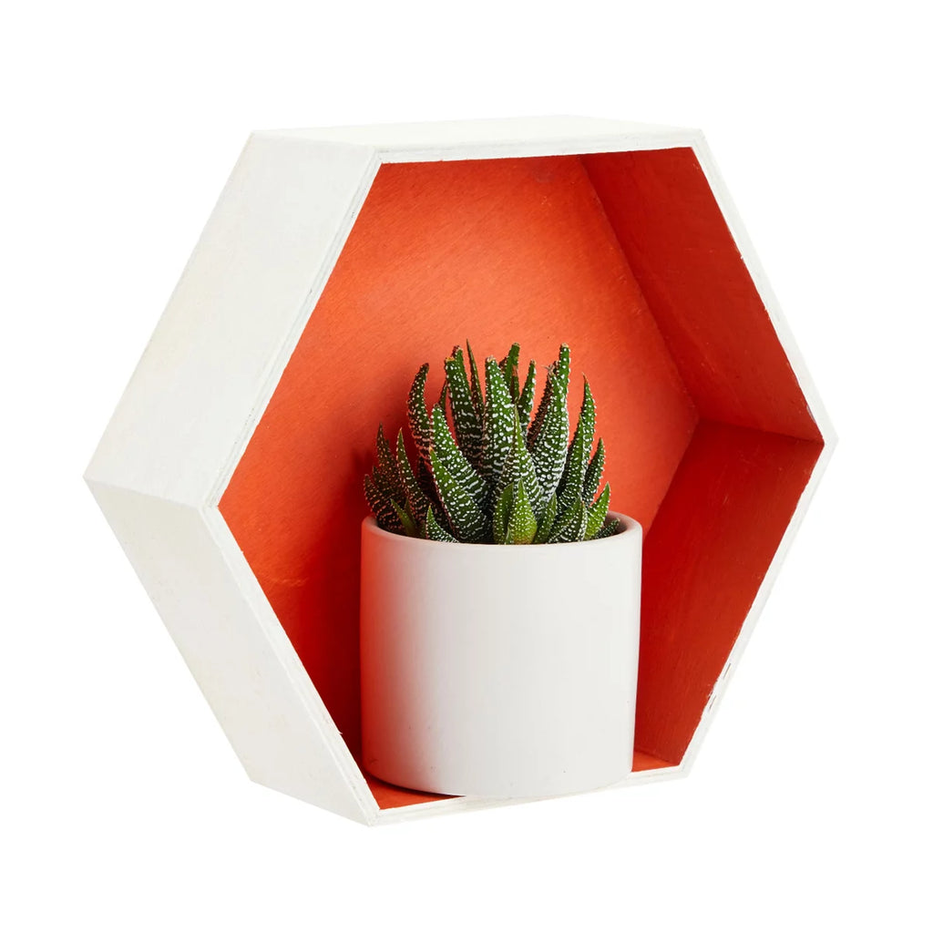 Set of 9 Unfinished Wooden Hexagon Shelves R3993
