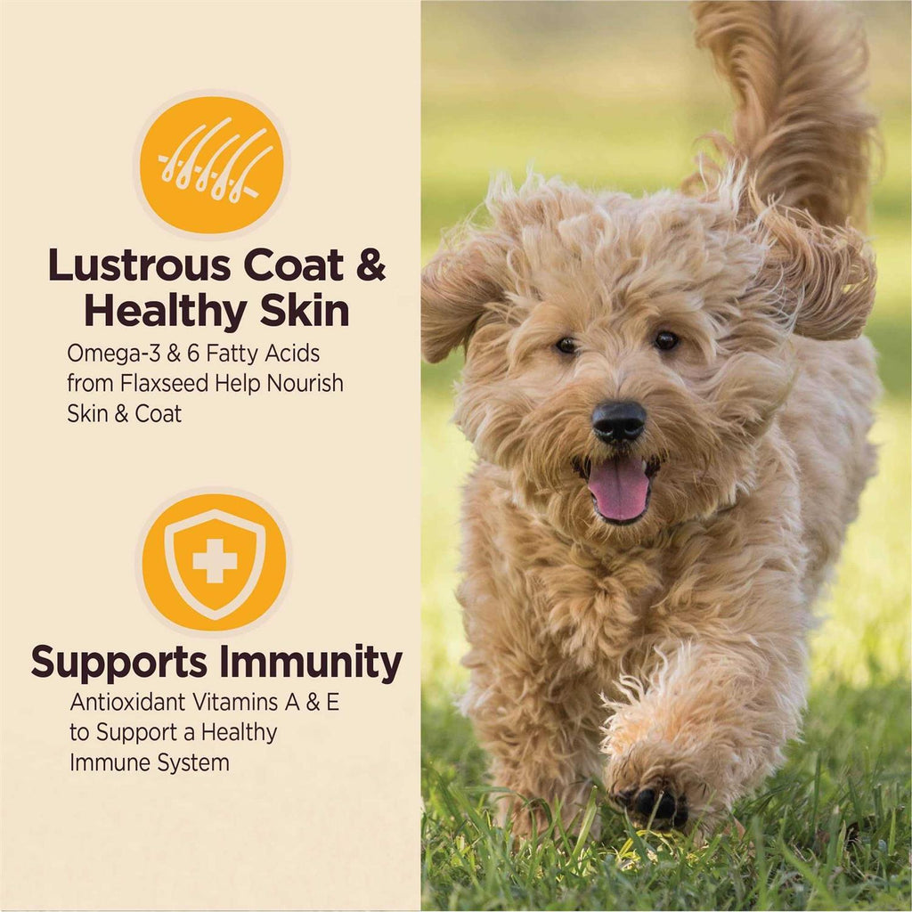 Digestive Health Dry Dog Puppy Food U9080