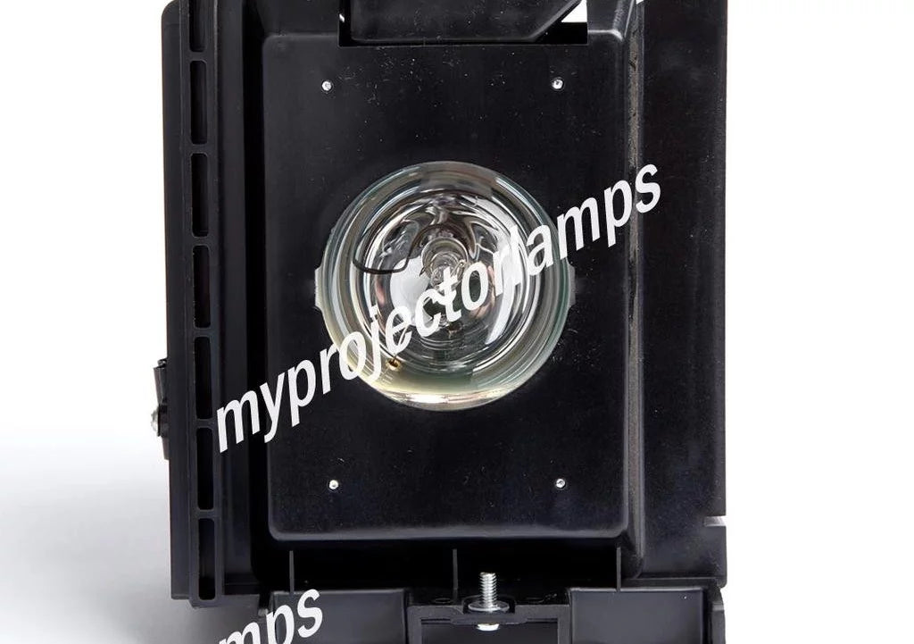 Projector Lamp with Module F161