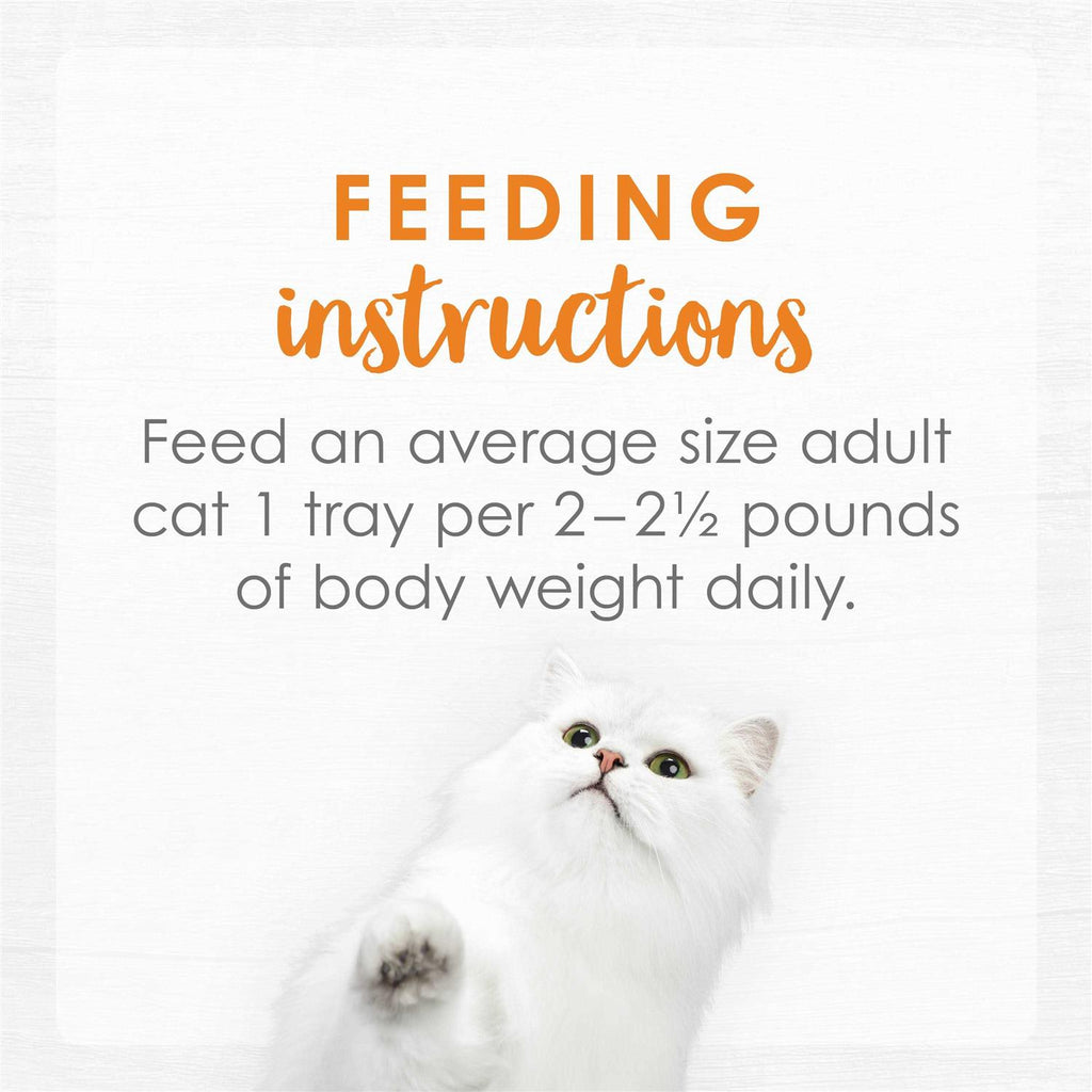 Cat Food B8057