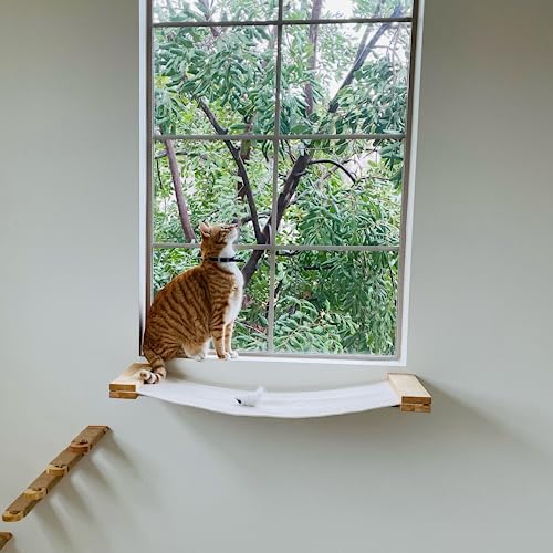 Cat Wall Furniture, Hammock Shelves, Window Perch D226311