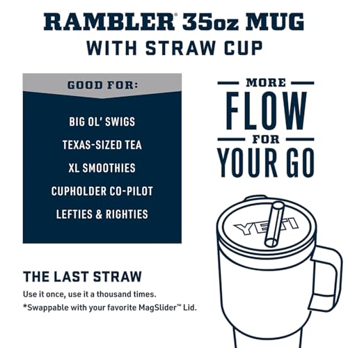Vacuum Insulated Stainless Steel Tumbler with Handle and Straw Lid R731