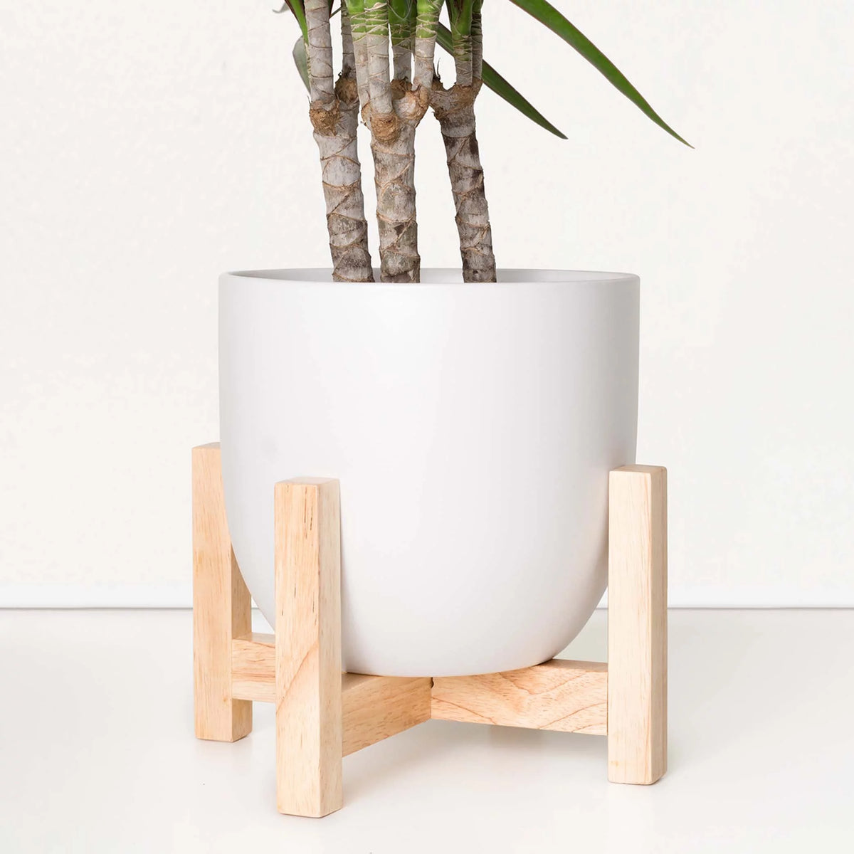 White Ceramic Egg Shaped Indoor Planter with Wood Stand T871750