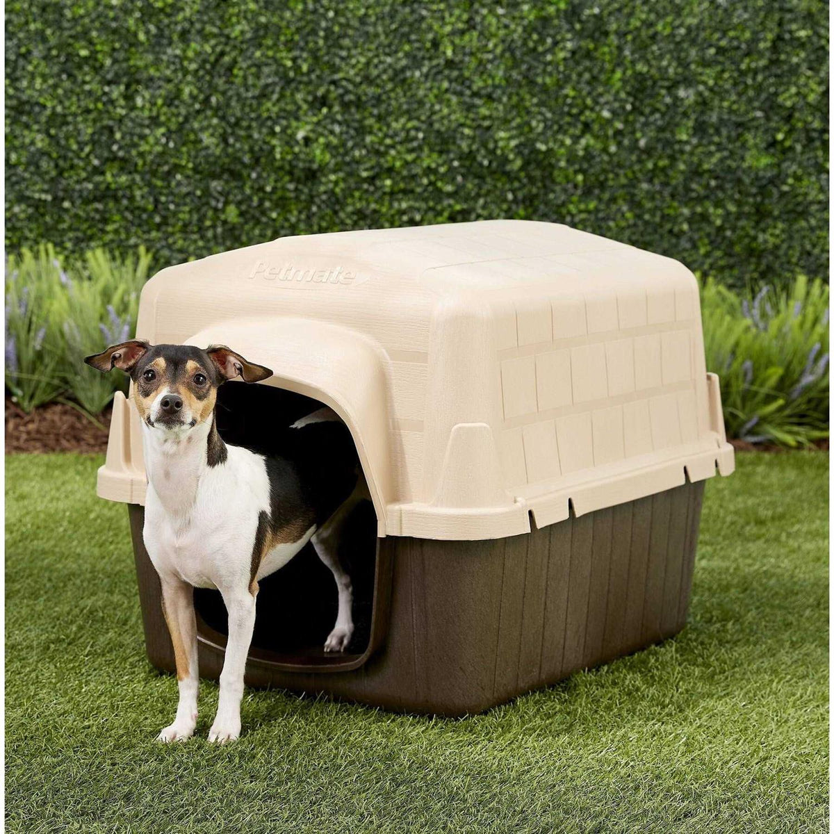 Dog House D23578