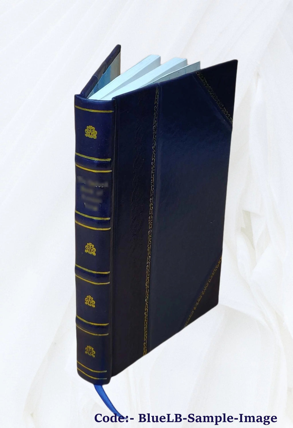 Leather Bound Book T348