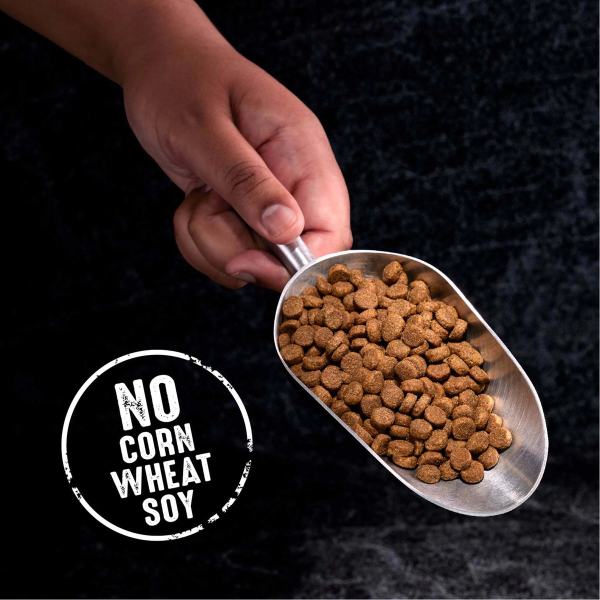 Grain Free Adult Dry Dog Food with Lamb, 4 lb. Bag W893