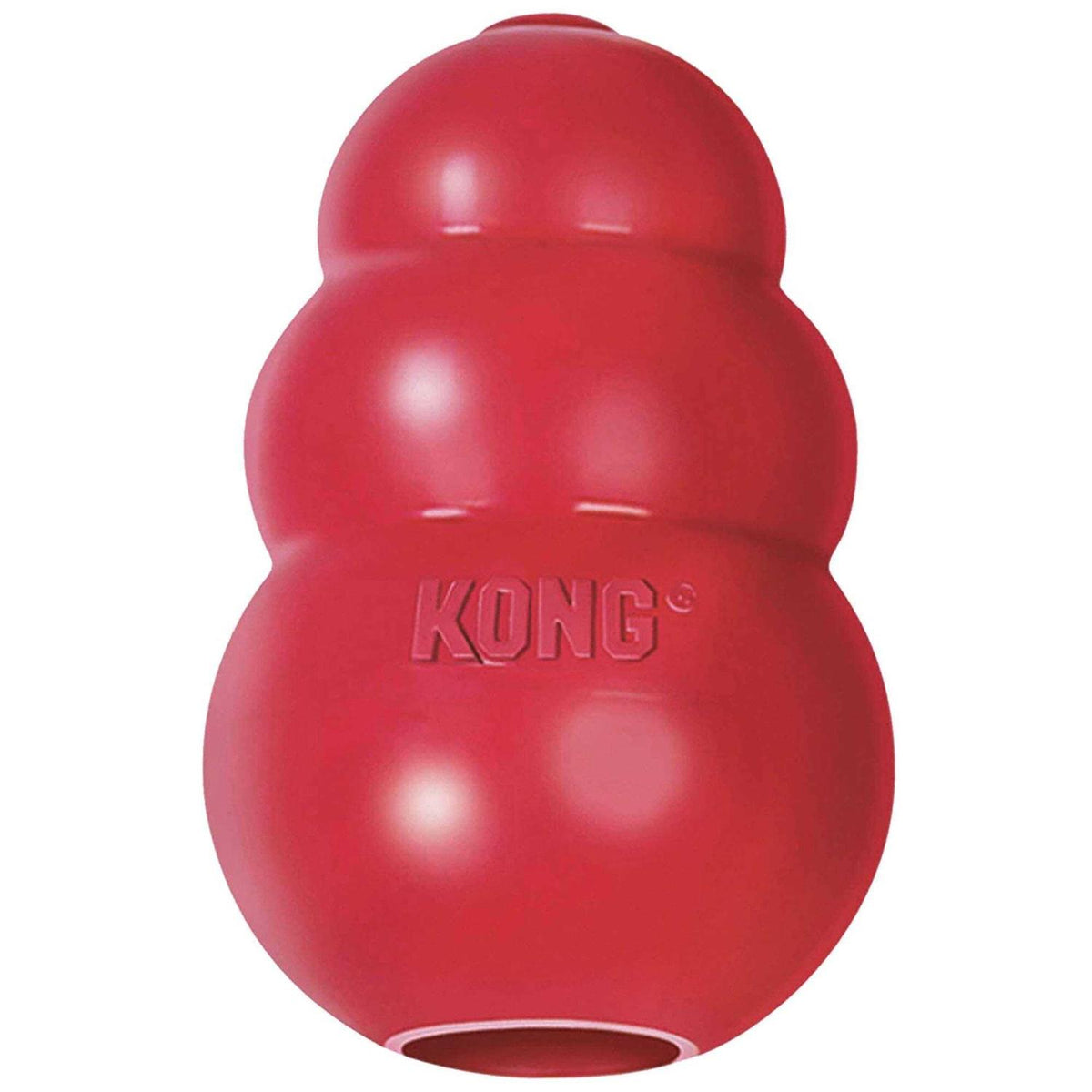 KONG Dog Toy P36547