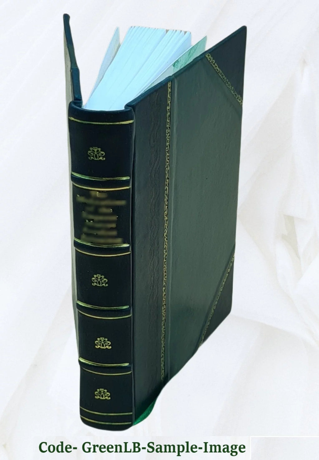 Leather Bound Book T348