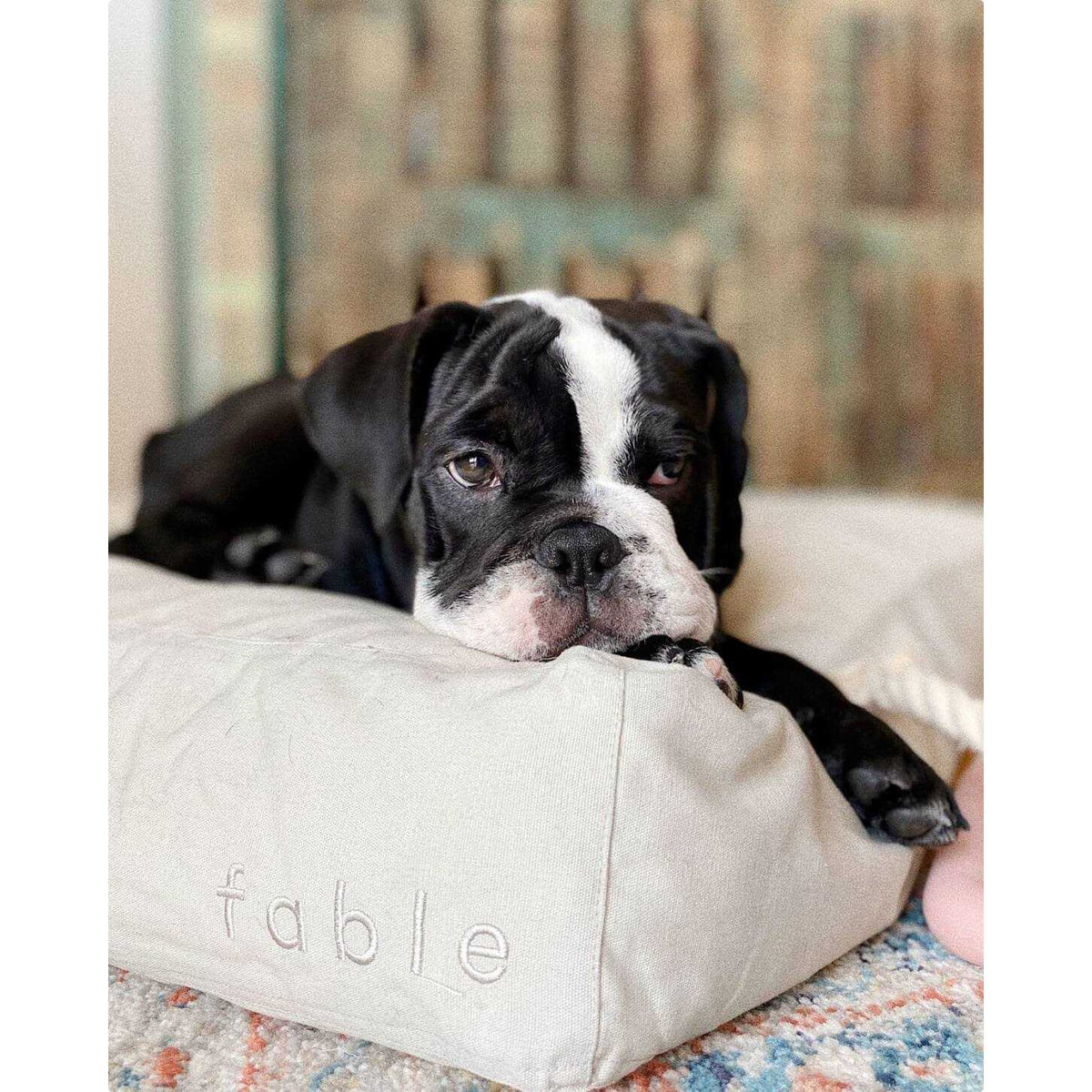 Dog Bed T176730