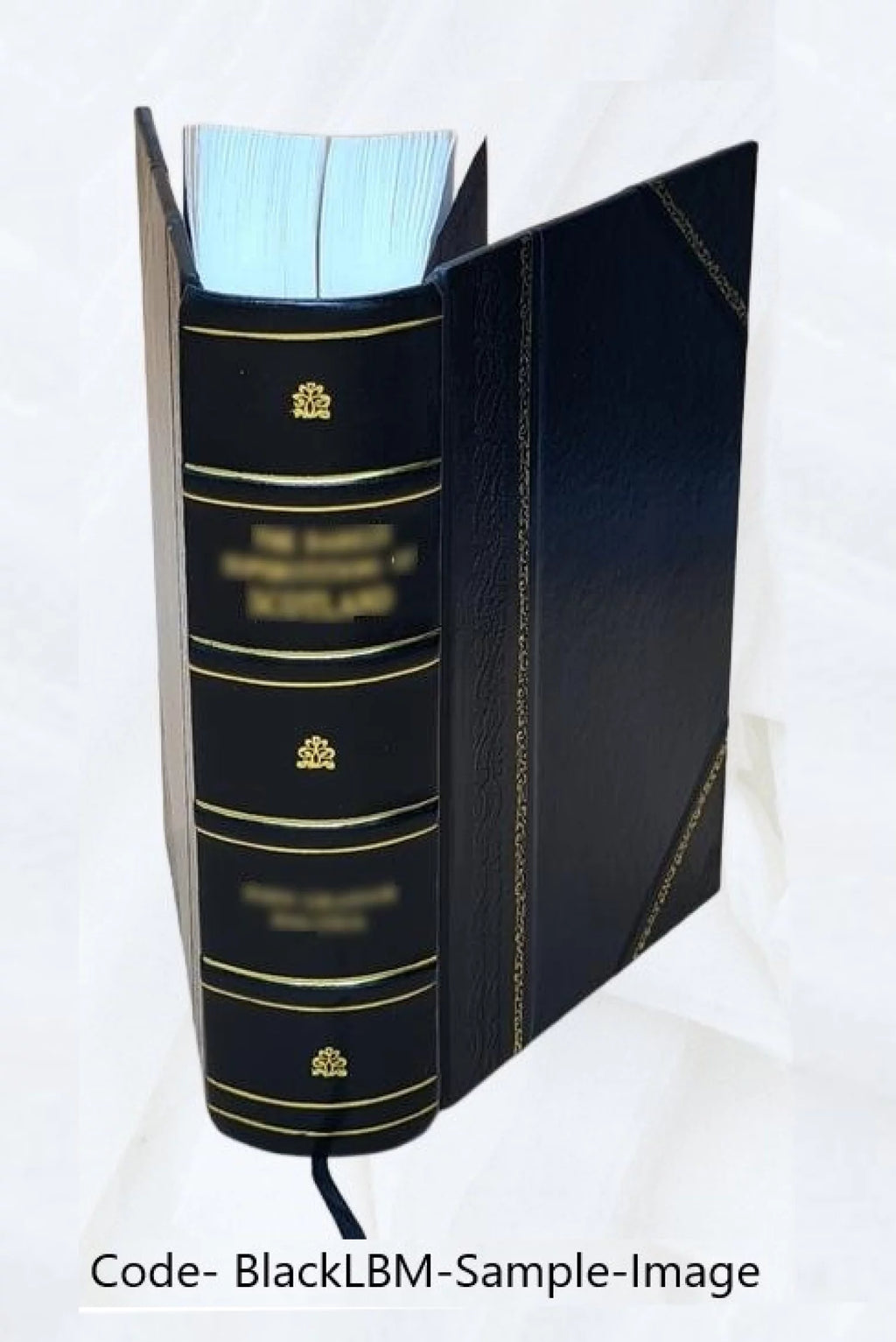 Leather Bound Book V14610