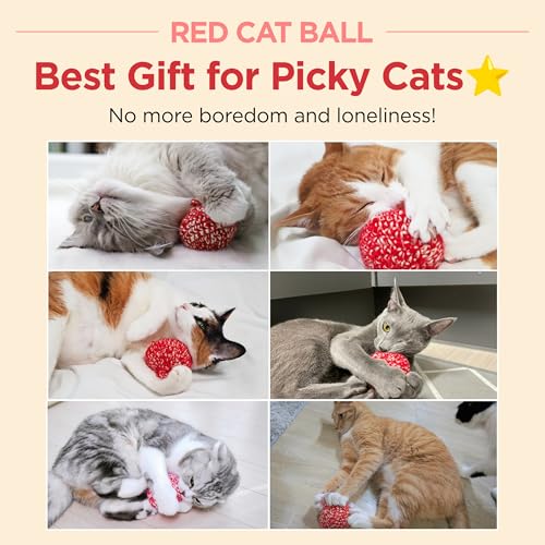 Red Catnip Silvervine Cat Toy V2235