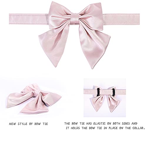 Bowtie Dog Collar with Detachable Bow Tie N823