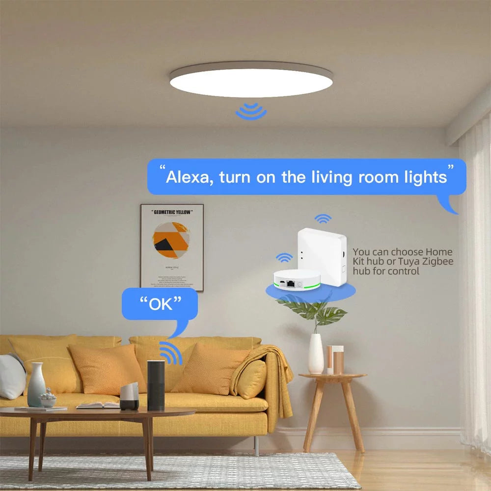 24W Smart LED Ceiling Light G13999