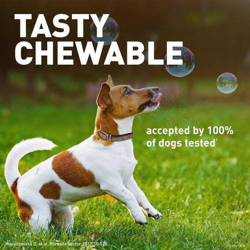 Chewable Tablet for Dogs D773464