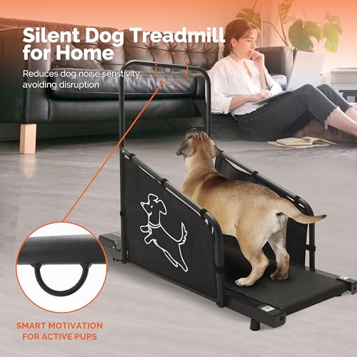 Black Dog Treadmill with Remote Control D8023