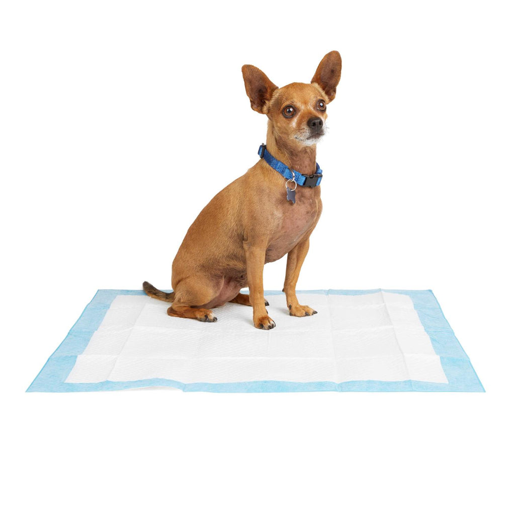 Potty Pads Q6101