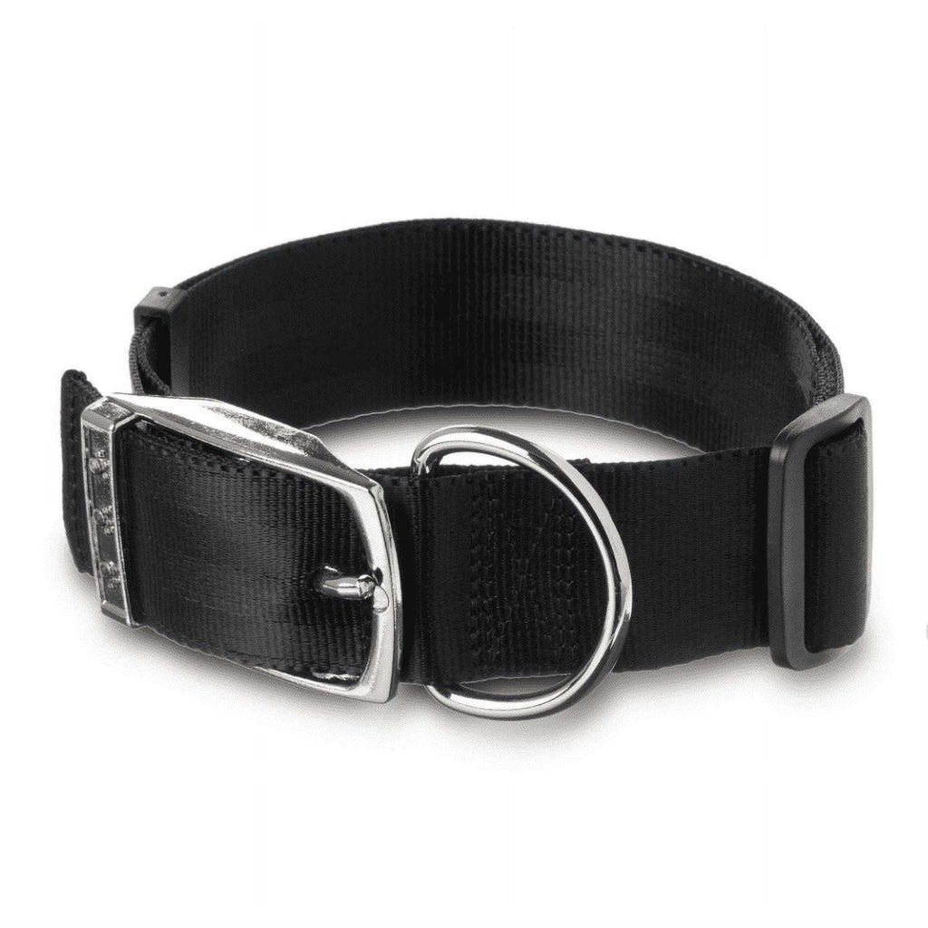 Solid Dog Collar with Metal Buckle V930