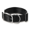 Solid Dog Collar with Metal Buckle V930
