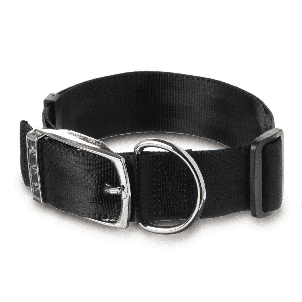 Solid Dog Collar with Metal Buckle V930