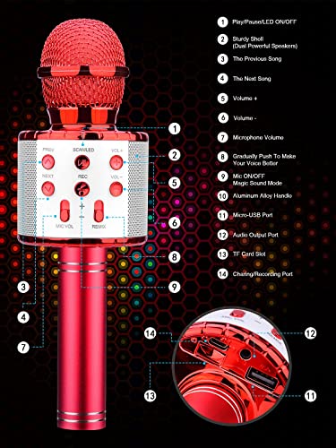 4 in 1 Wireless Microphone with LED Lights H346012