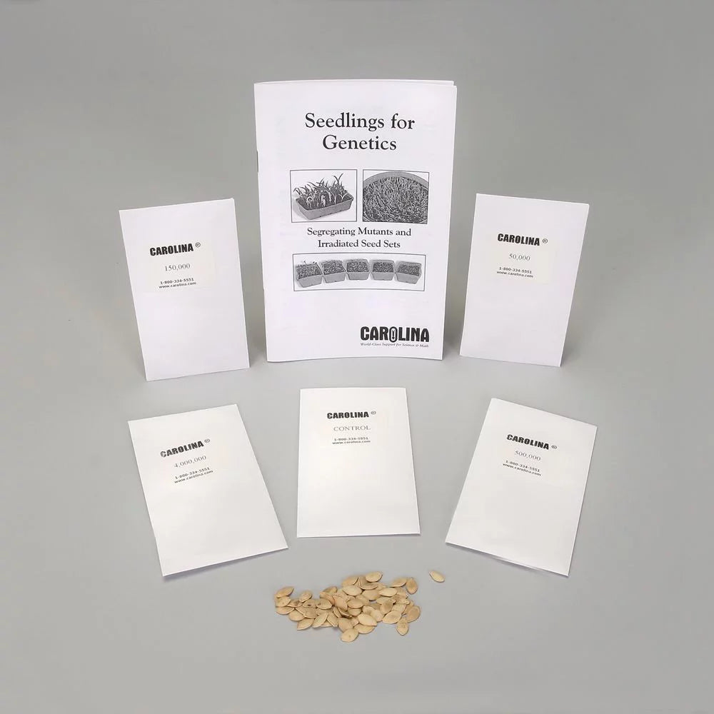 Irradiated Squash Seed Set P31623