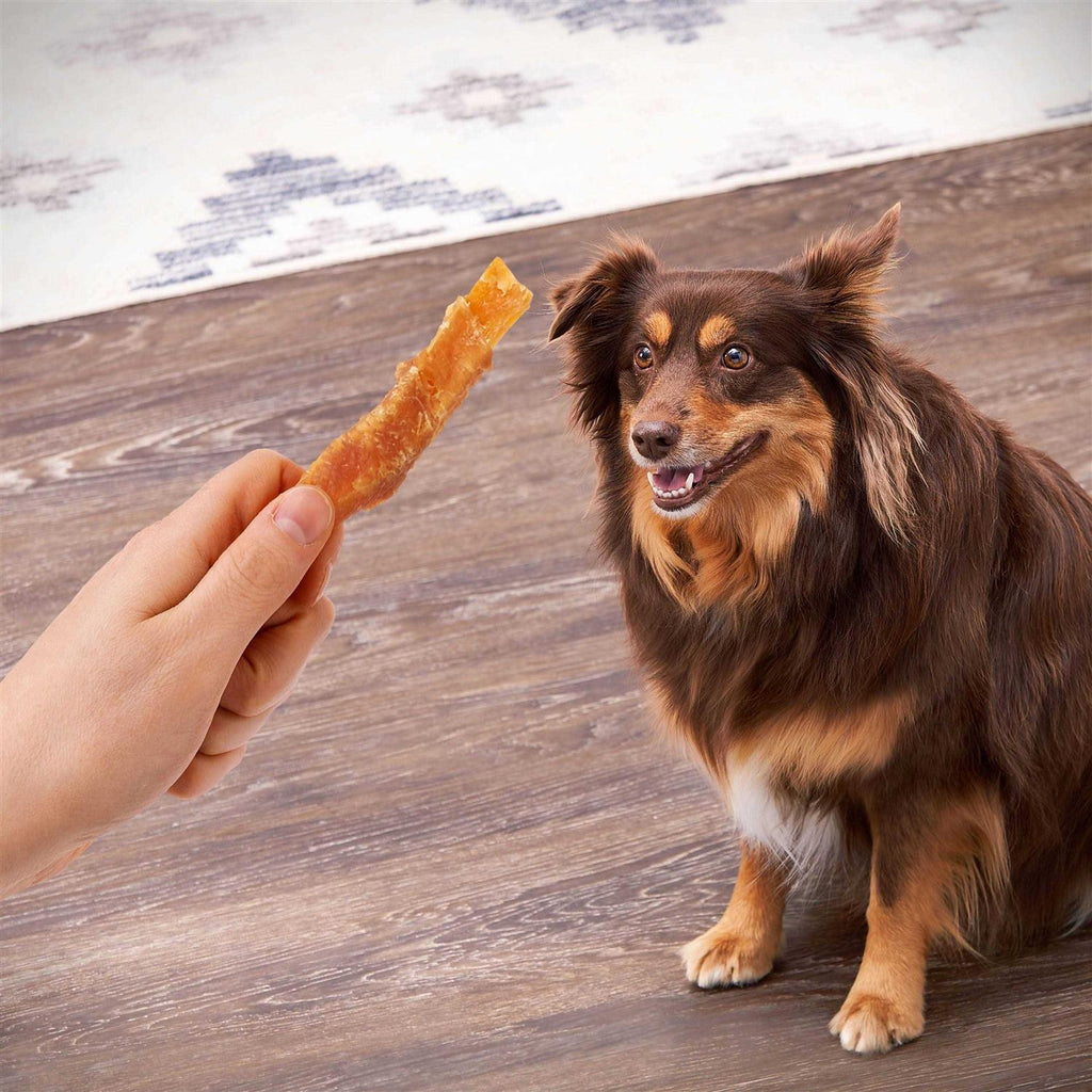 Sweet Potato Wrapped with Chicken Dog Treats Y31340