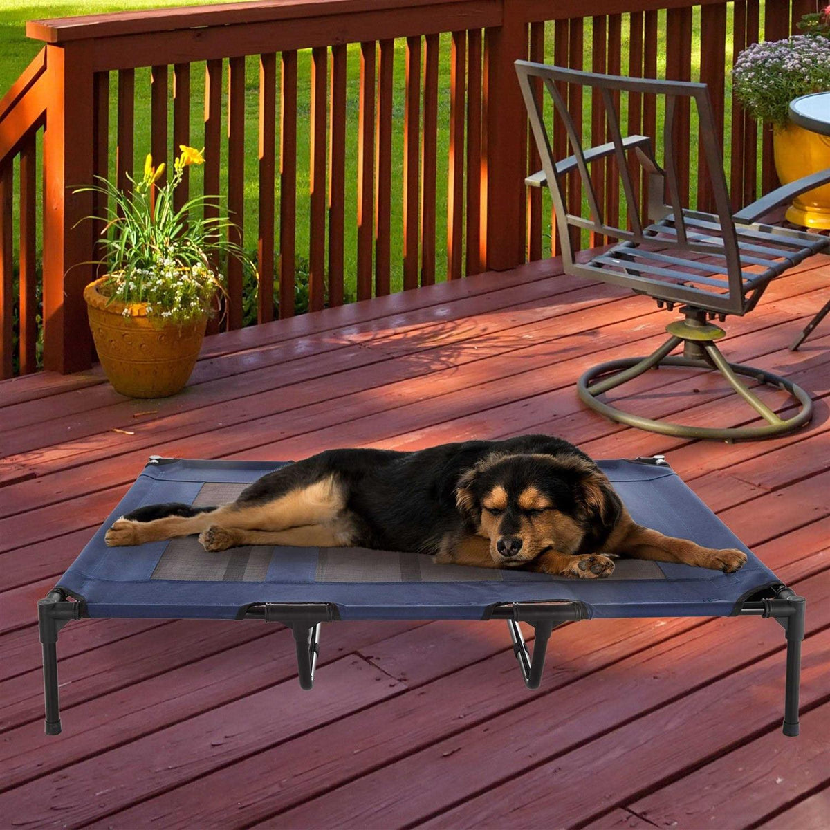 Cot-Style Elevated Pet Bed R4874