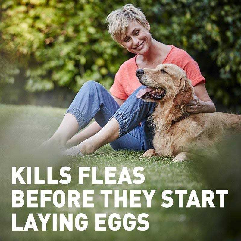 Chewable Tablet for Dogs and Cats M223