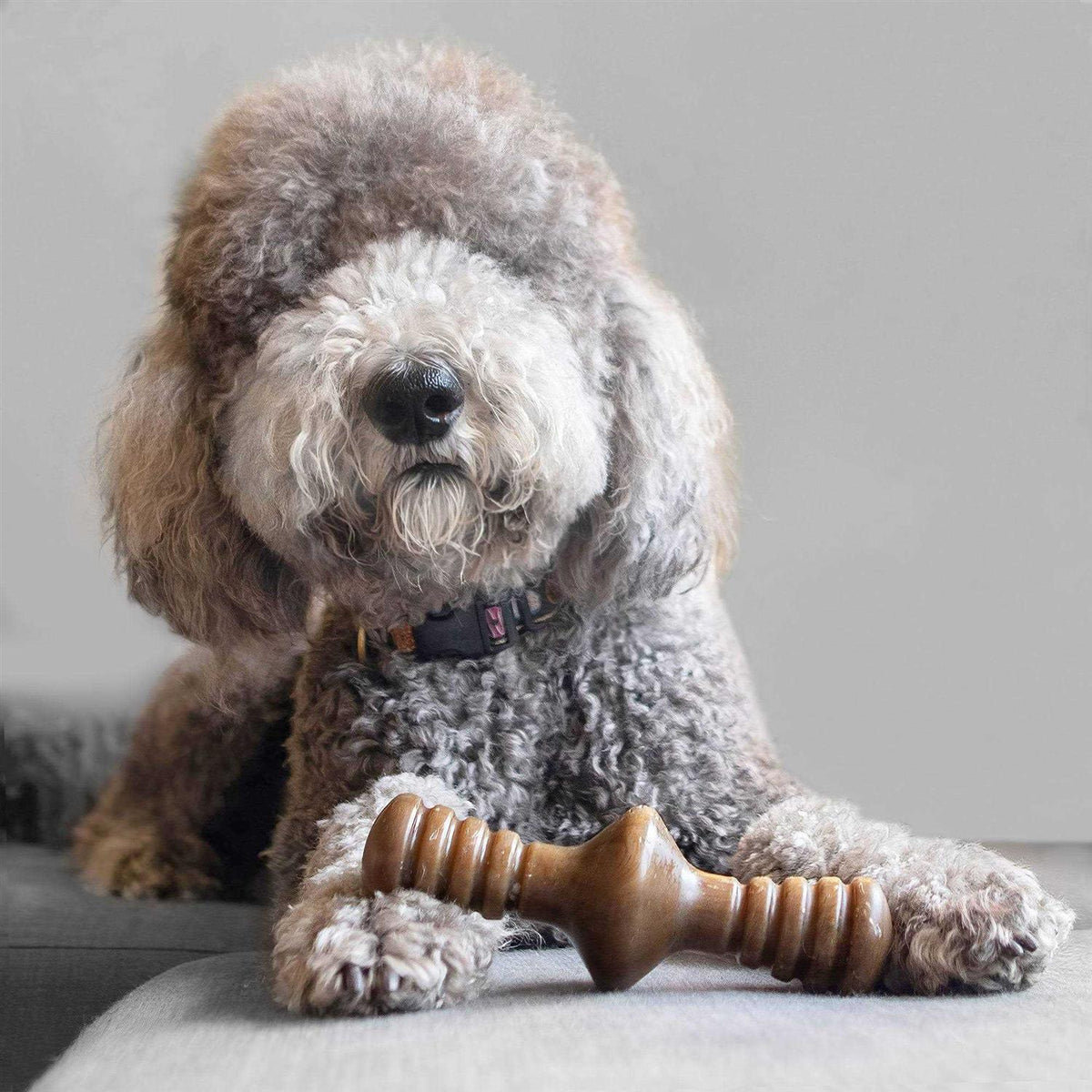 Chicken Dog Chew Toy L639051