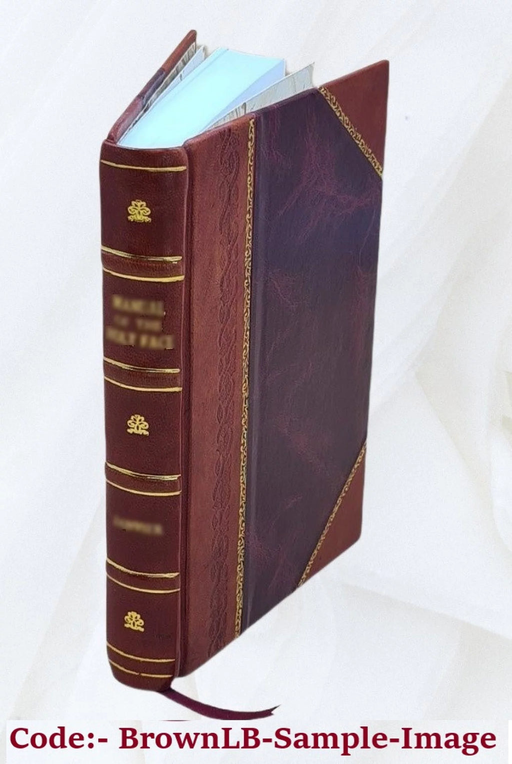 Leather Bound Book T348