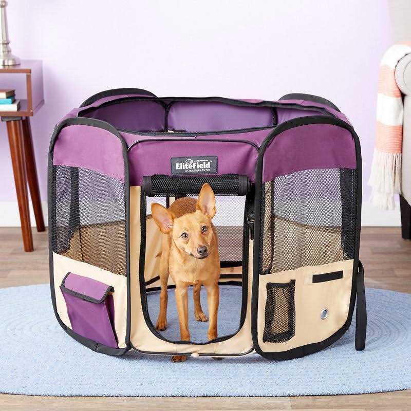 2-Door Soft Pet Playpen Y470175