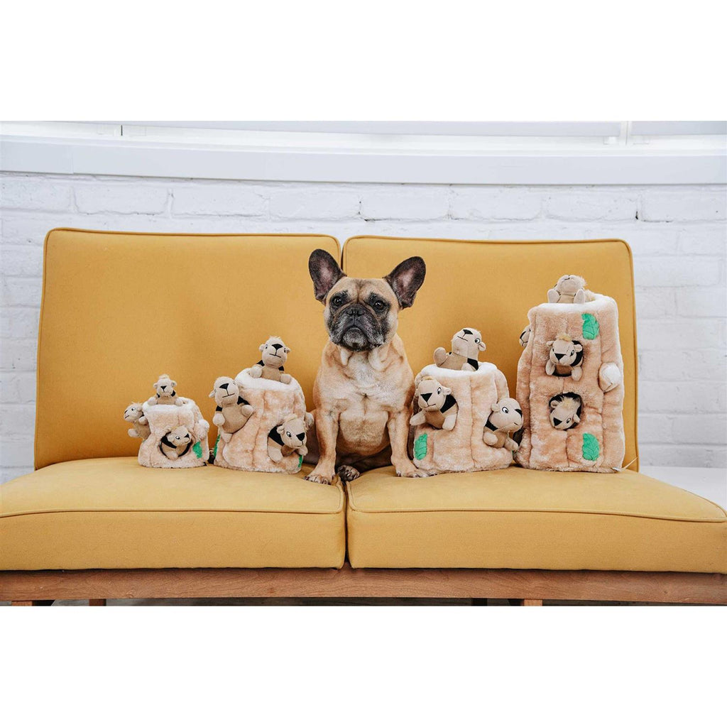 Hide A Squirrel Dog Toy M9384