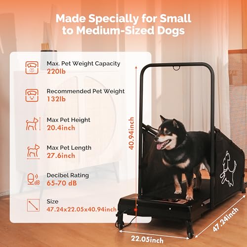 Black Dog Treadmill with Remote Control D8023