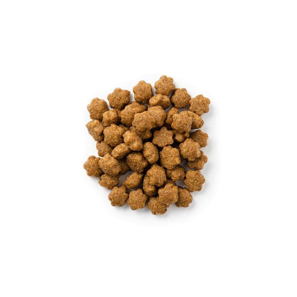 Salmon with Cranberry Crunchy Cat Treats D4199