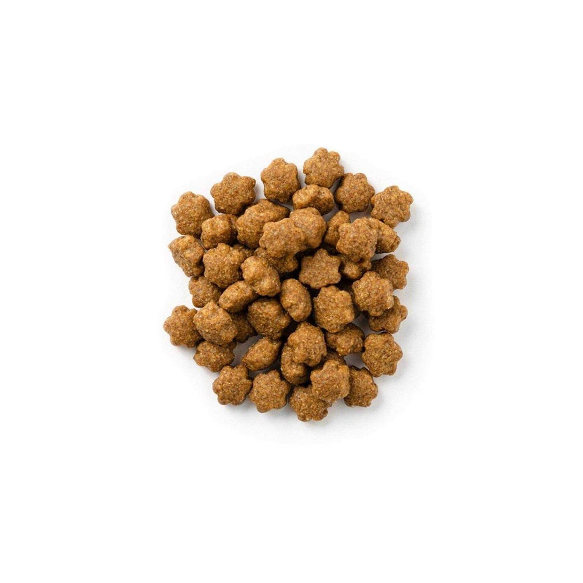 Salmon with Cranberry Crunchy Cat Treats D4199