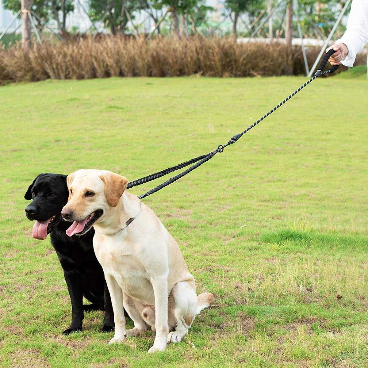 Double Dog Leash 360 Swivel No Tangle F576