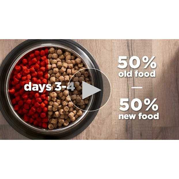Chicken Dry Cat Food L80639