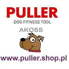Waterless Shampoo Y50306