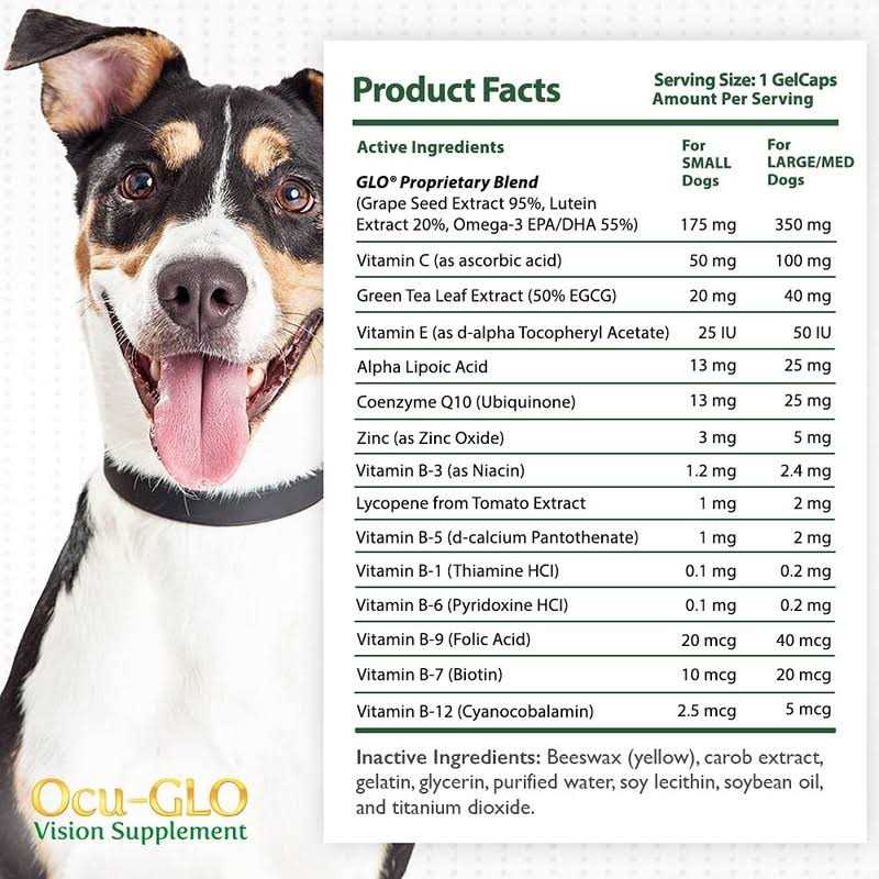 Vision Supplement for Small Dogs O778