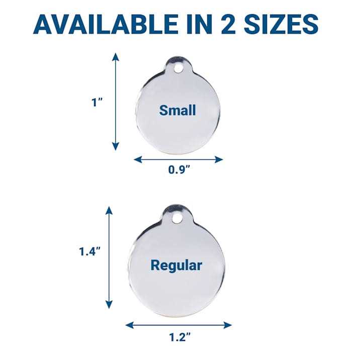 Stainless Steel Personalized Dog & Cat ID Tag A93188