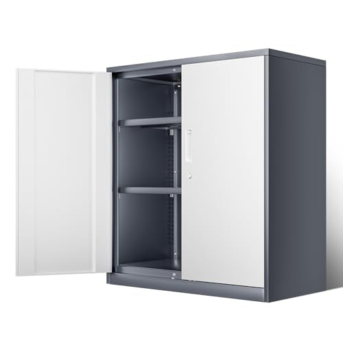 Metal Storage Cabinet with 2 Doors and 2 Adjustable Shelves K35755
