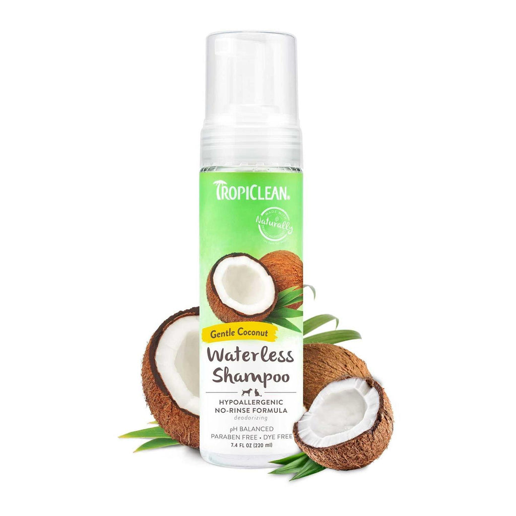 Waterless Shampoo Y50306