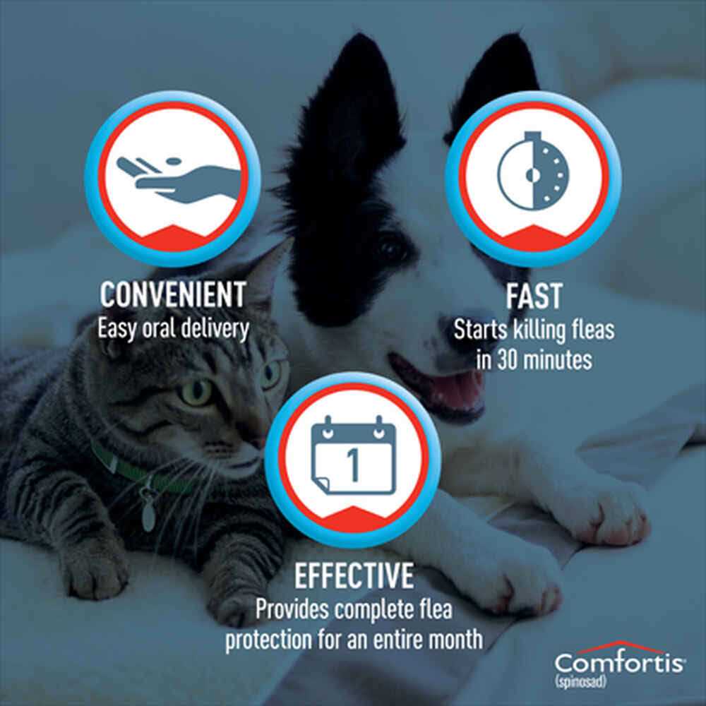 Chewable Tablets for Dogs & Cats G784
