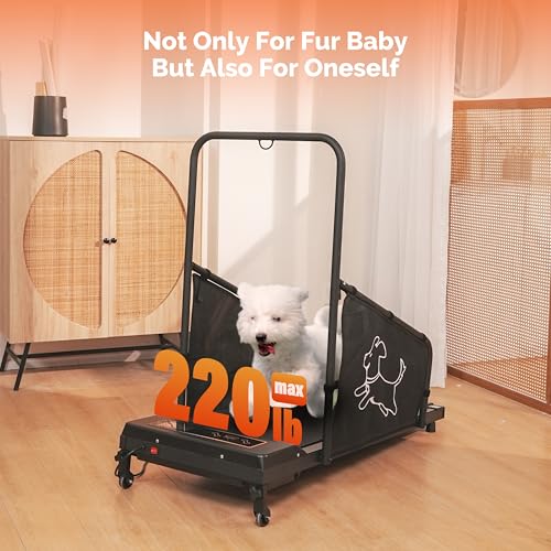 Black Dog Treadmill with Remote Control D8023
